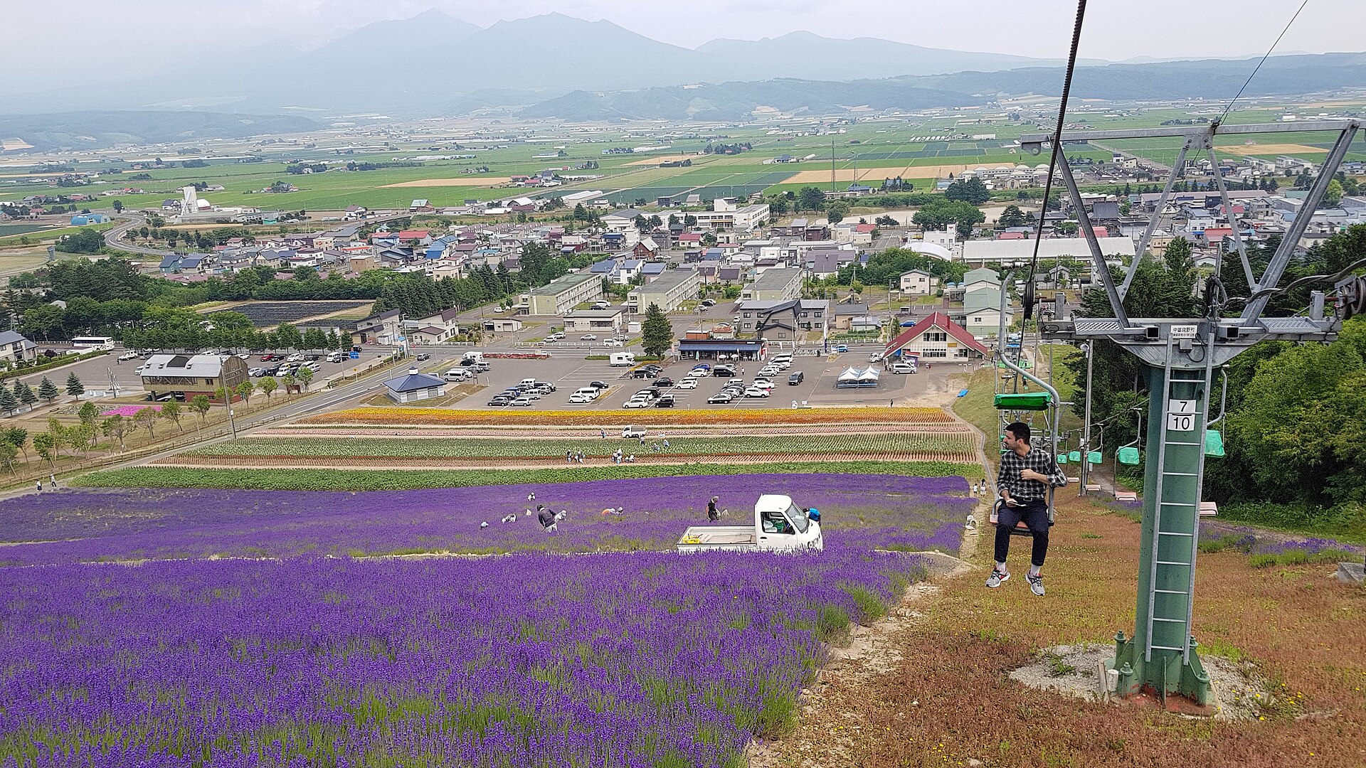 富良野のラベンダー畑